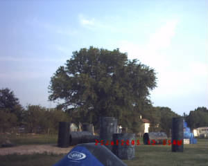 picture035.jpg